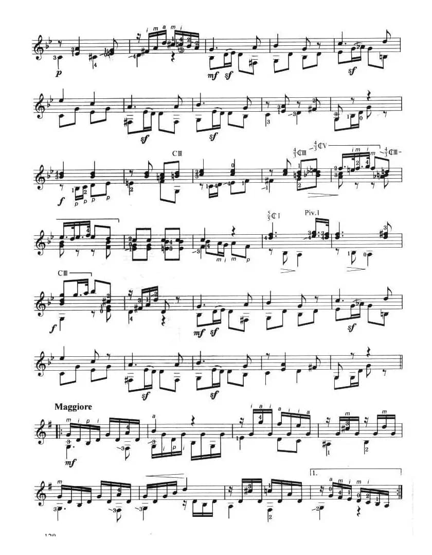 古典吉他考级七级外国乐曲C组（1、夏天的最后一朵玫瑰）