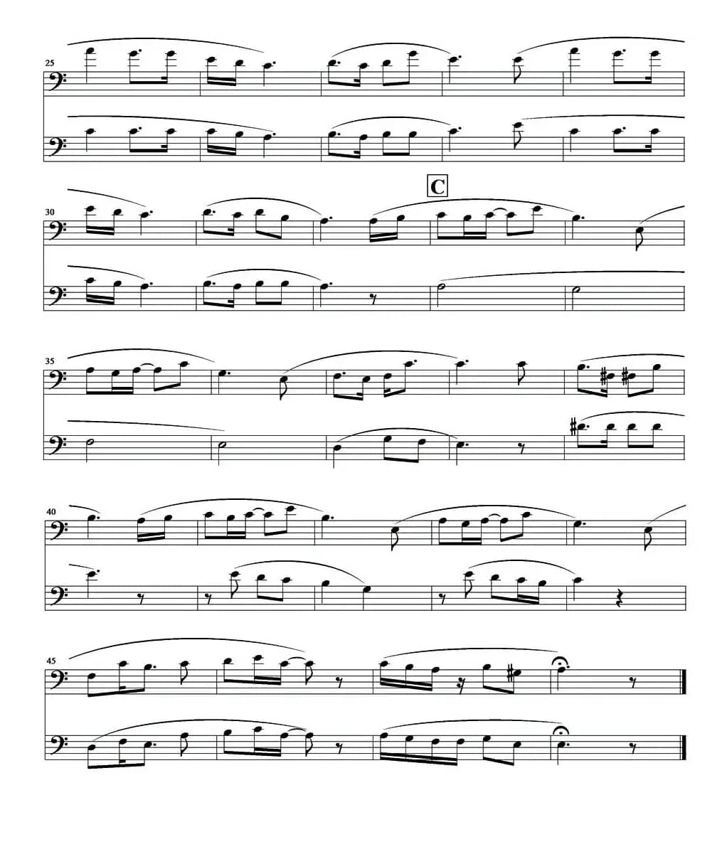 天空之城（长号二重奏）