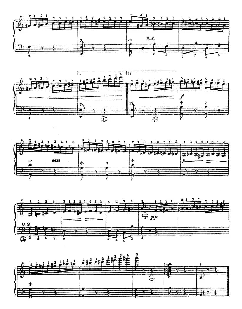 手风琴世界名曲：野蜂飞舞