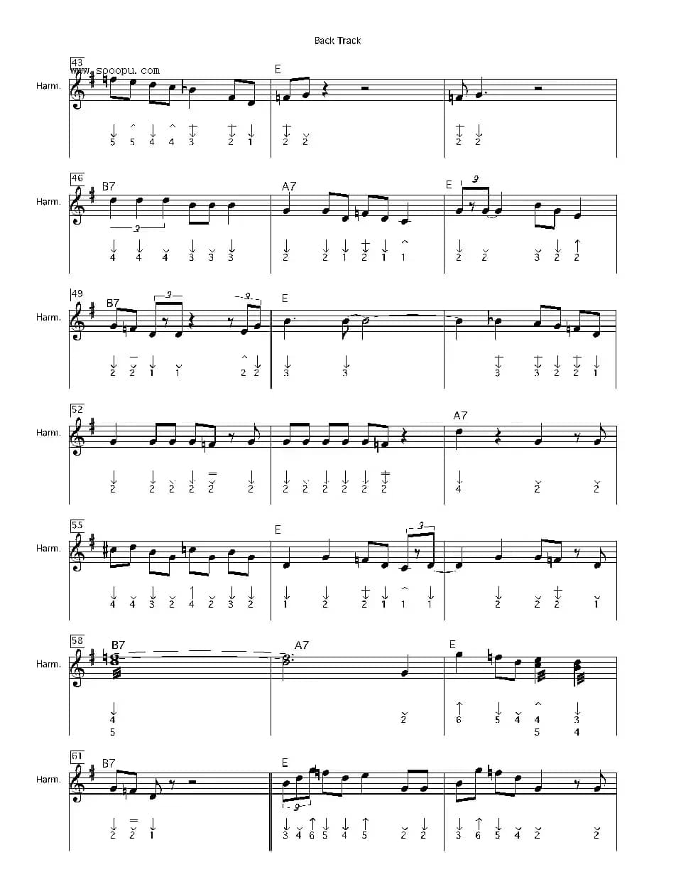 back track（布鲁斯）