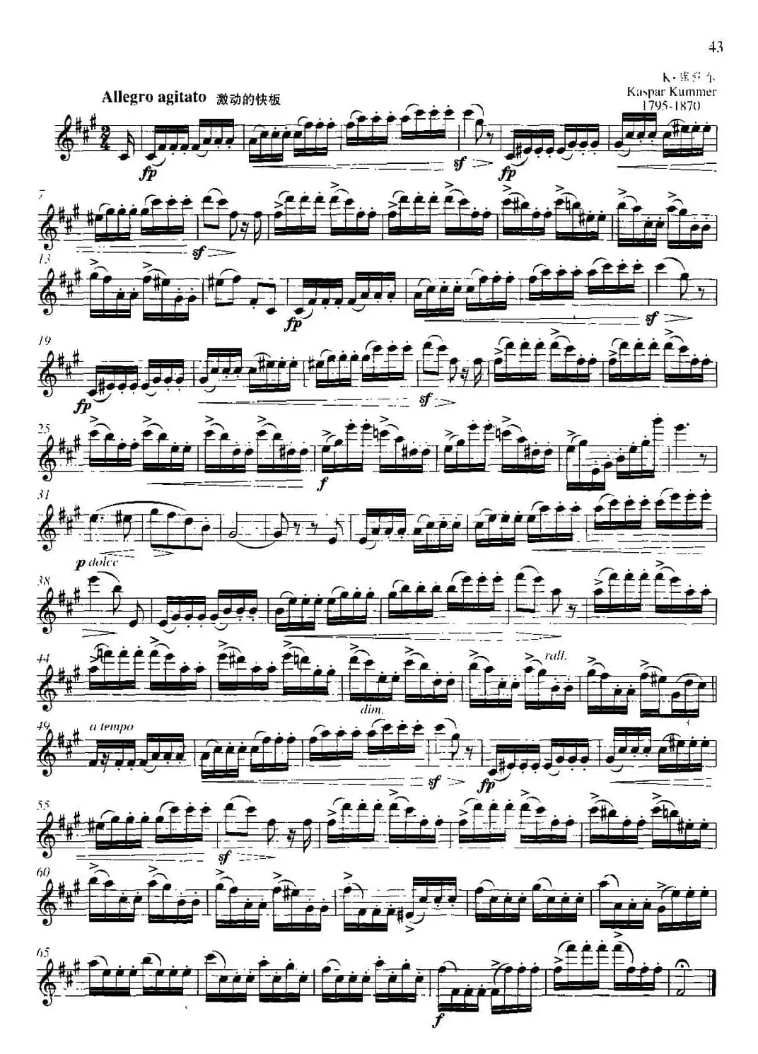 第二单元 中高级练习：断奏练习（练习曲部分）