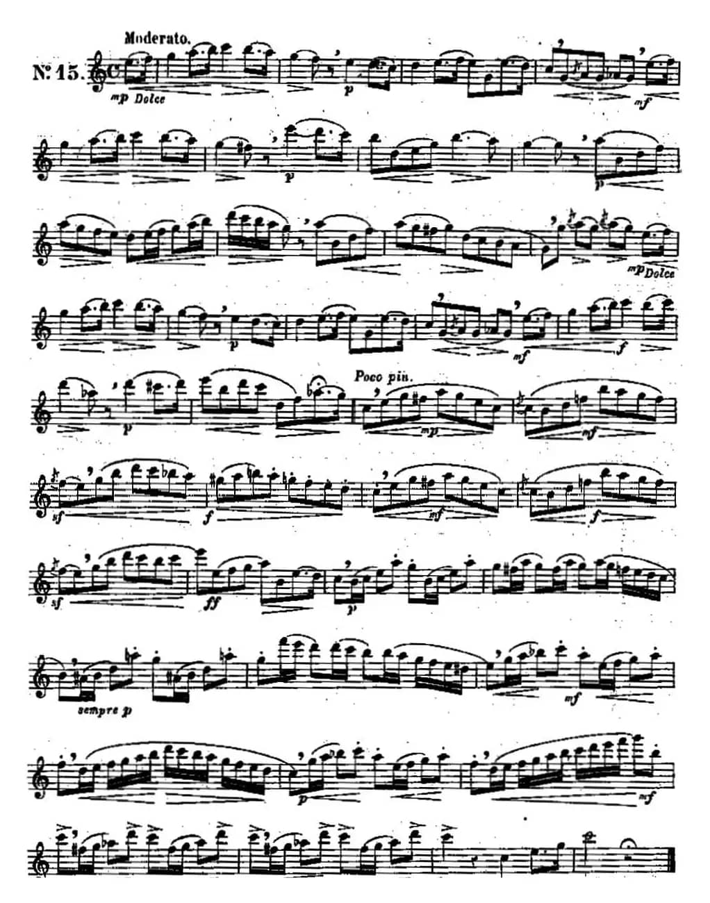 二十首练习曲作品131号（NO.15）