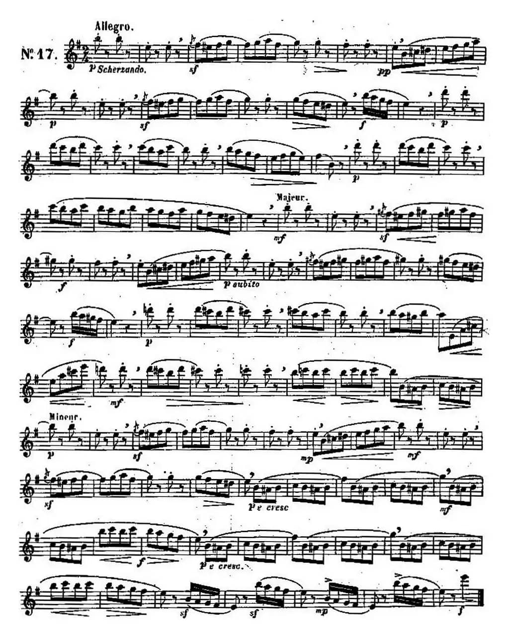 二十首练习曲作品131号（NO.17）