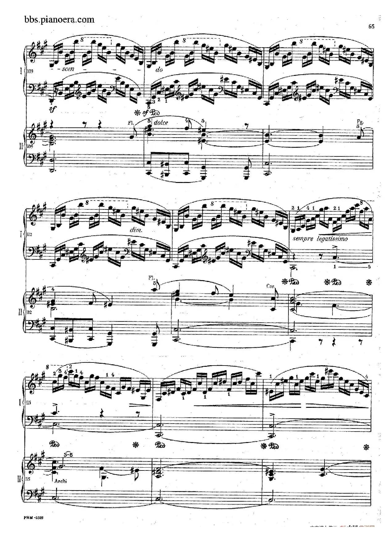 Grand Fantasy on Polish Airs Op.13（华丽的波兰民歌幻想曲·双钢琴版）