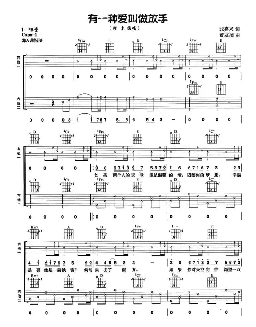有一种爱叫做放手（双吉他）