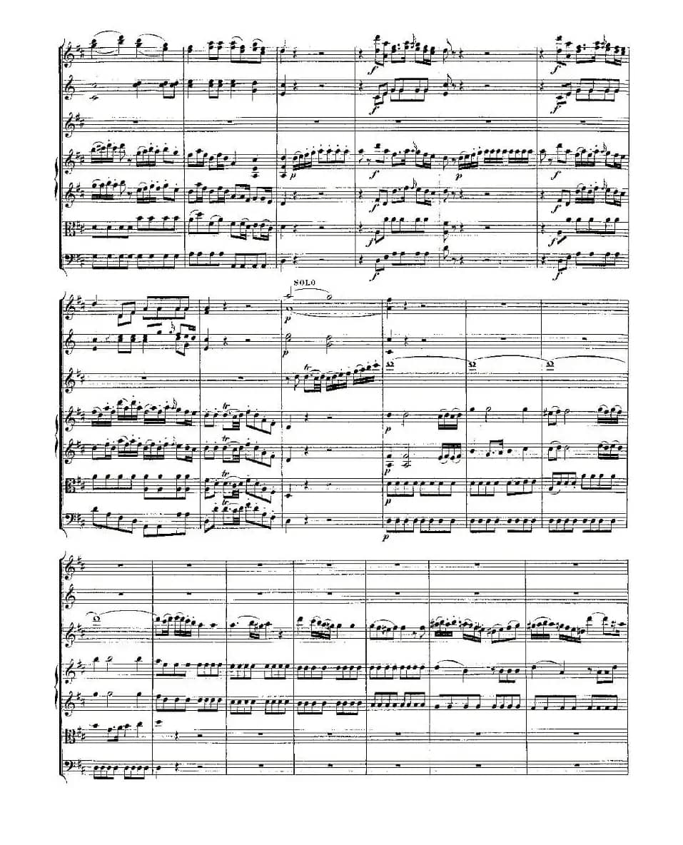 Concerto in D for Flute, K.314（D大调长笛协奏曲）