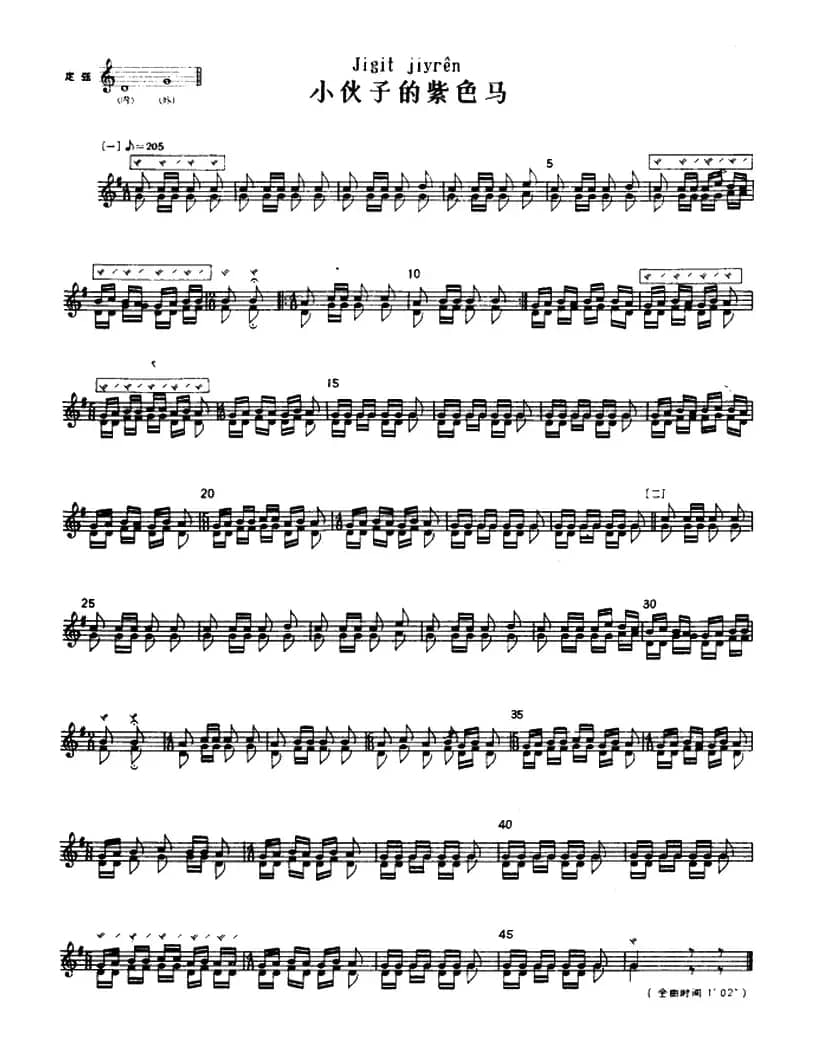 小伙子的紫色马（冬不拉）