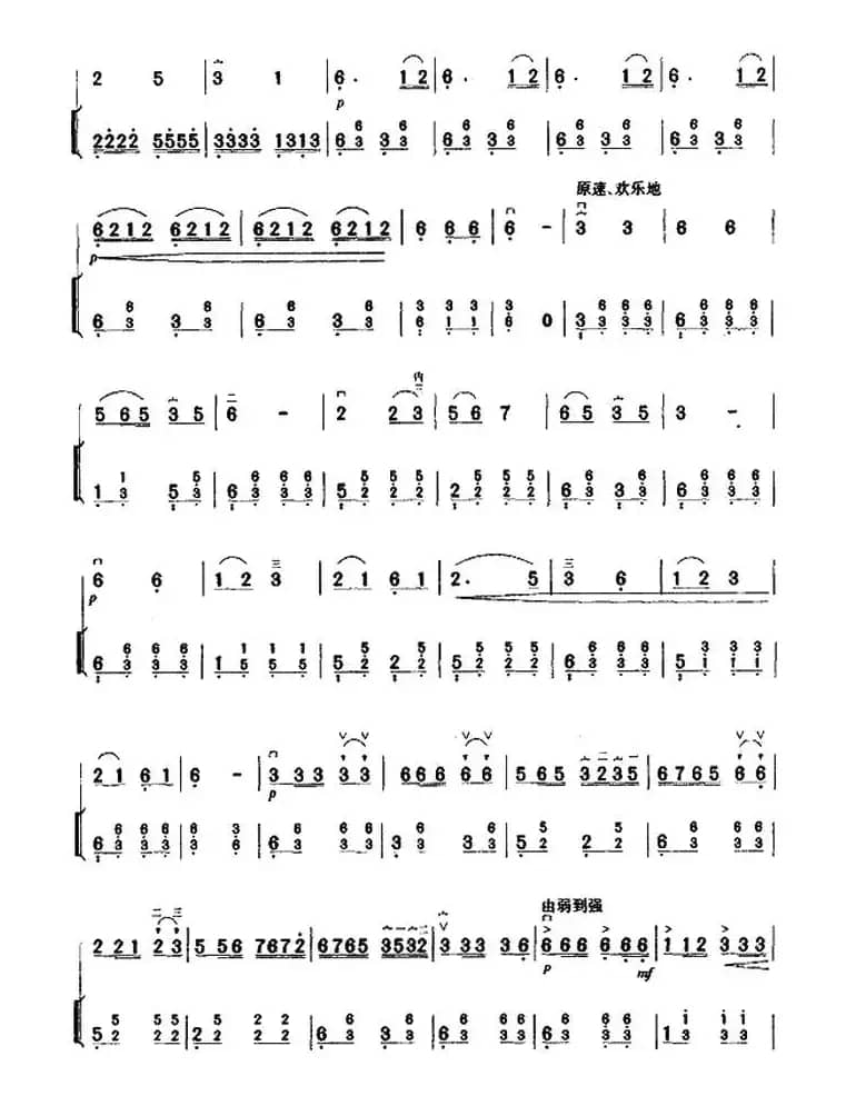 赛马（二胡+扬琴伴奏）