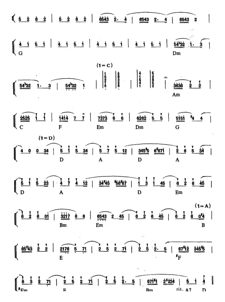 幼儿律动音乐：嬉戏的大熊猫