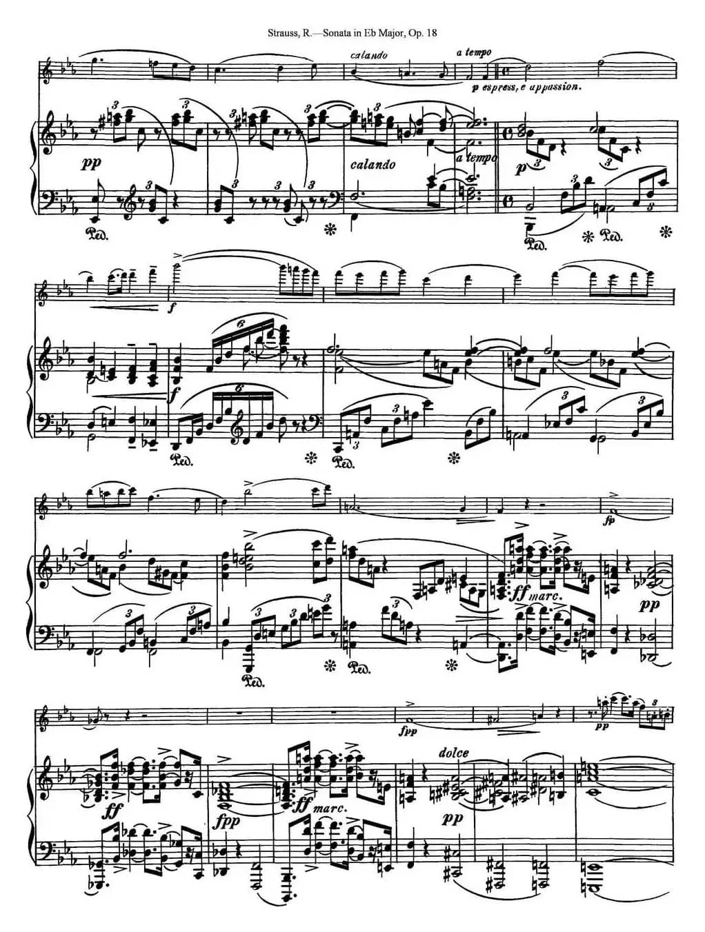 Violin Sonata in Eb Major Op.18（小提琴+钢琴伴奏）