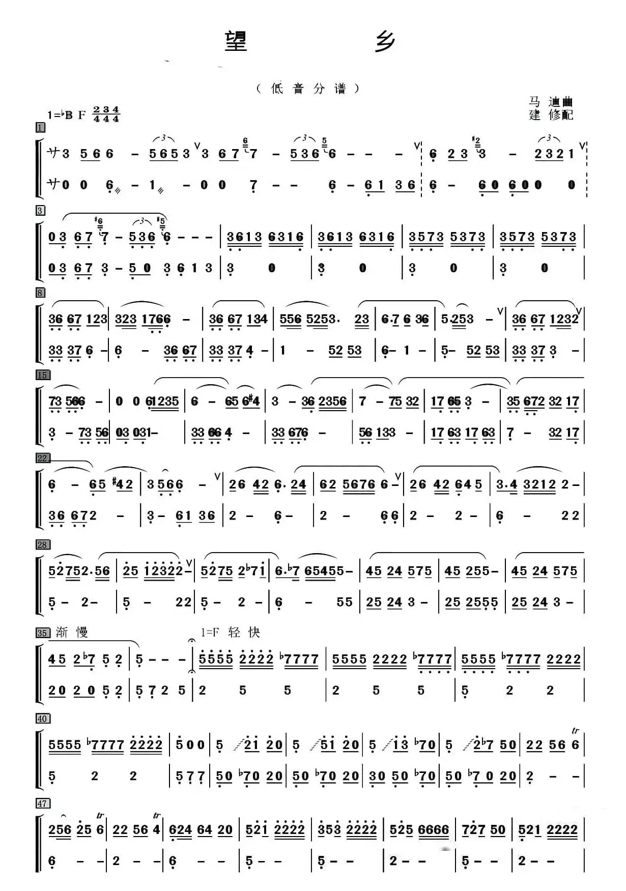 望乡（笛子独奏+乐队伴奏低音分谱）