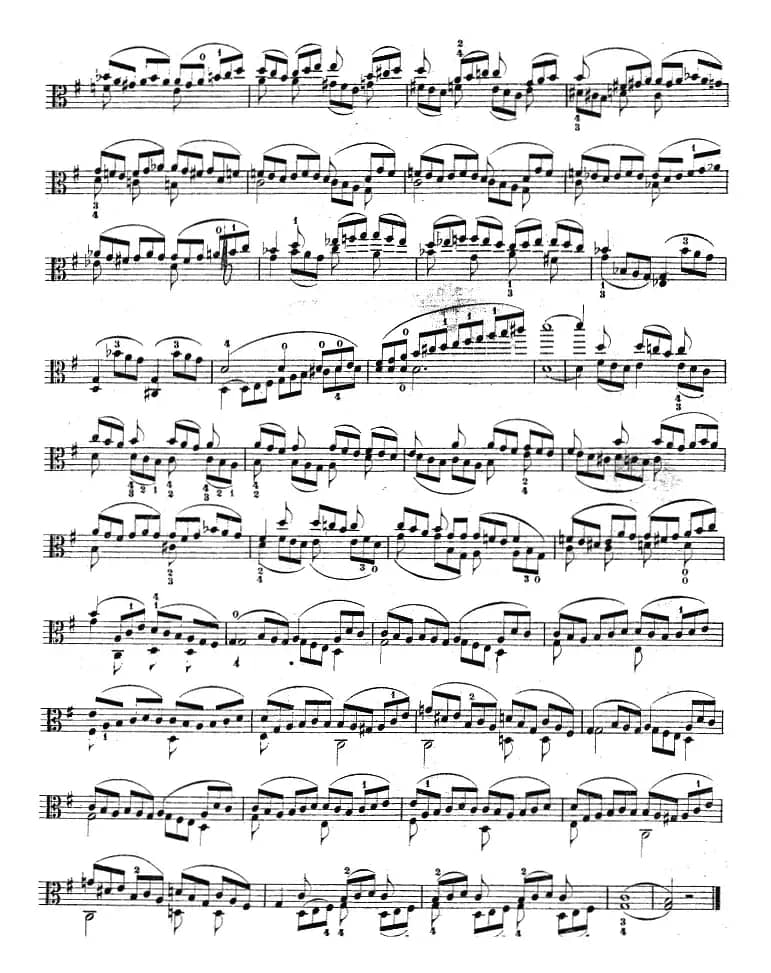 克莱采尔《中提琴练习曲40首》（ETUDE 36-38）