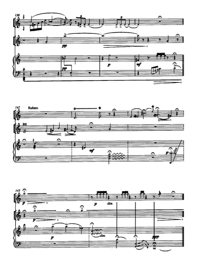 国风（箫、二胡、筝三重奏）