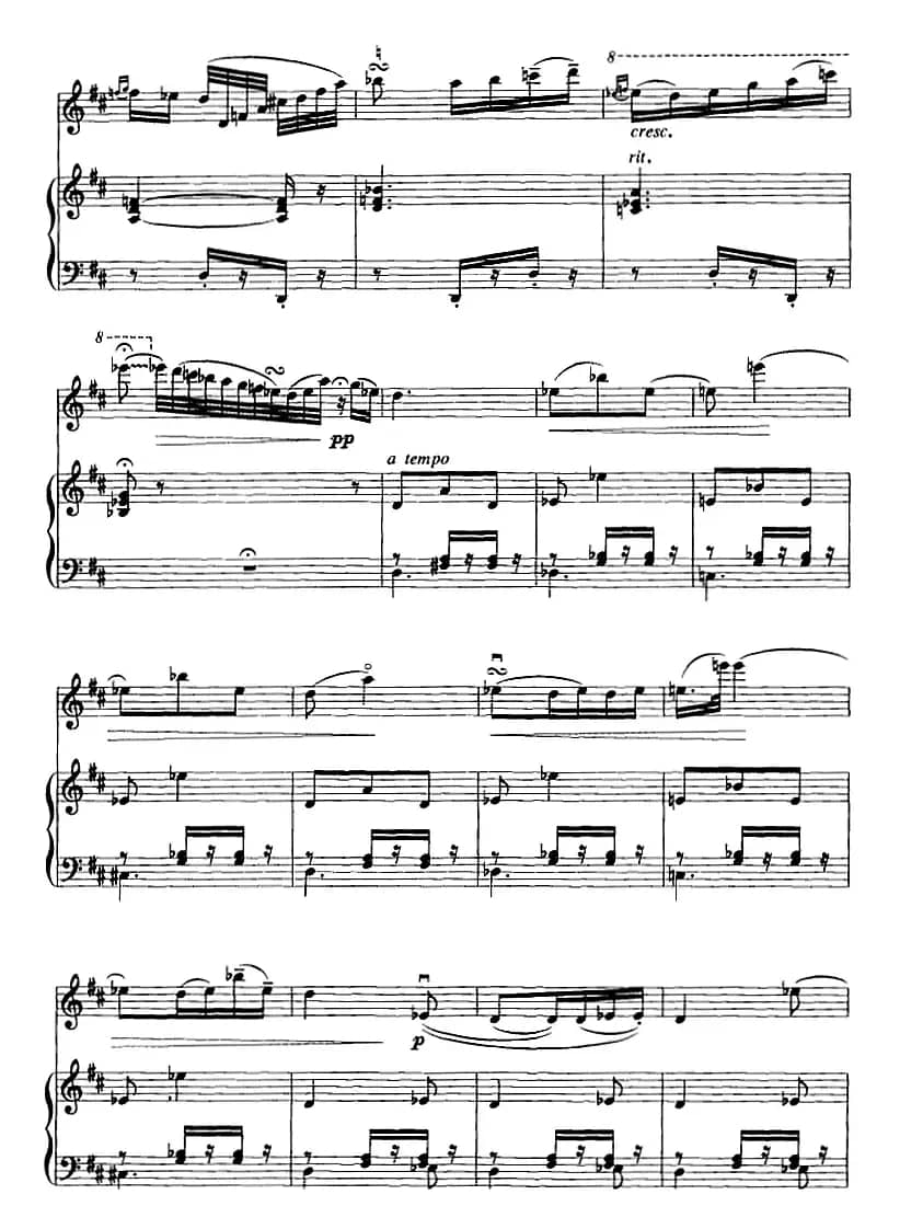 卡门主题幻想曲（二胡+钢琴伴奏）