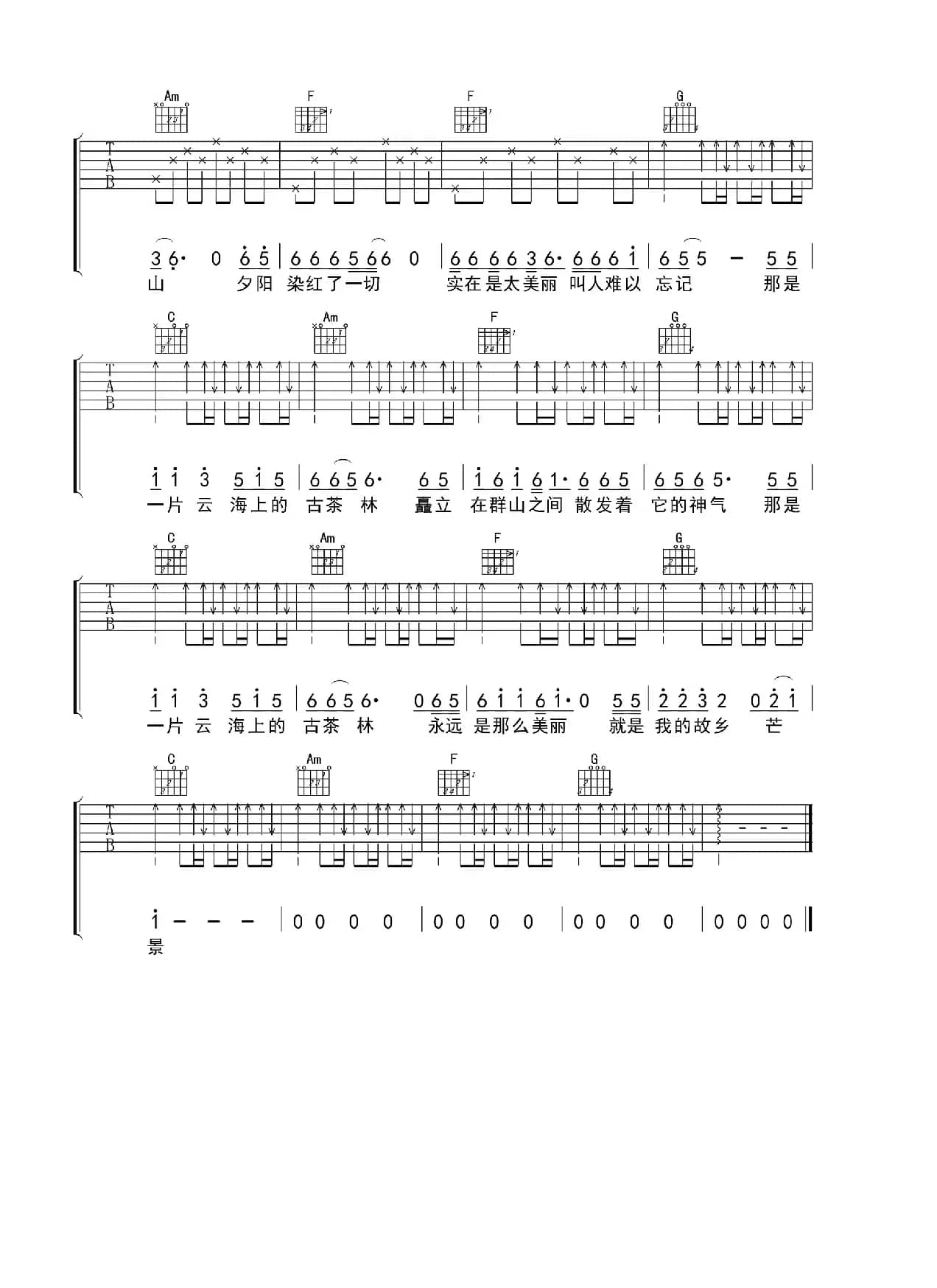 云海上的古茶林