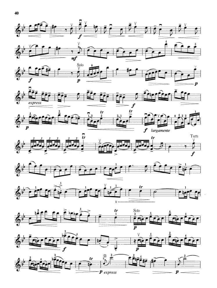 g小调协奏曲第一乐章