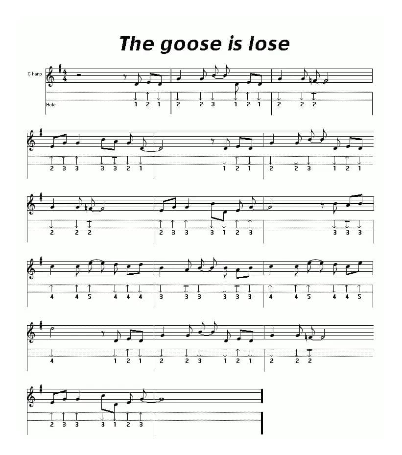 The goose is lose（布鲁斯）
