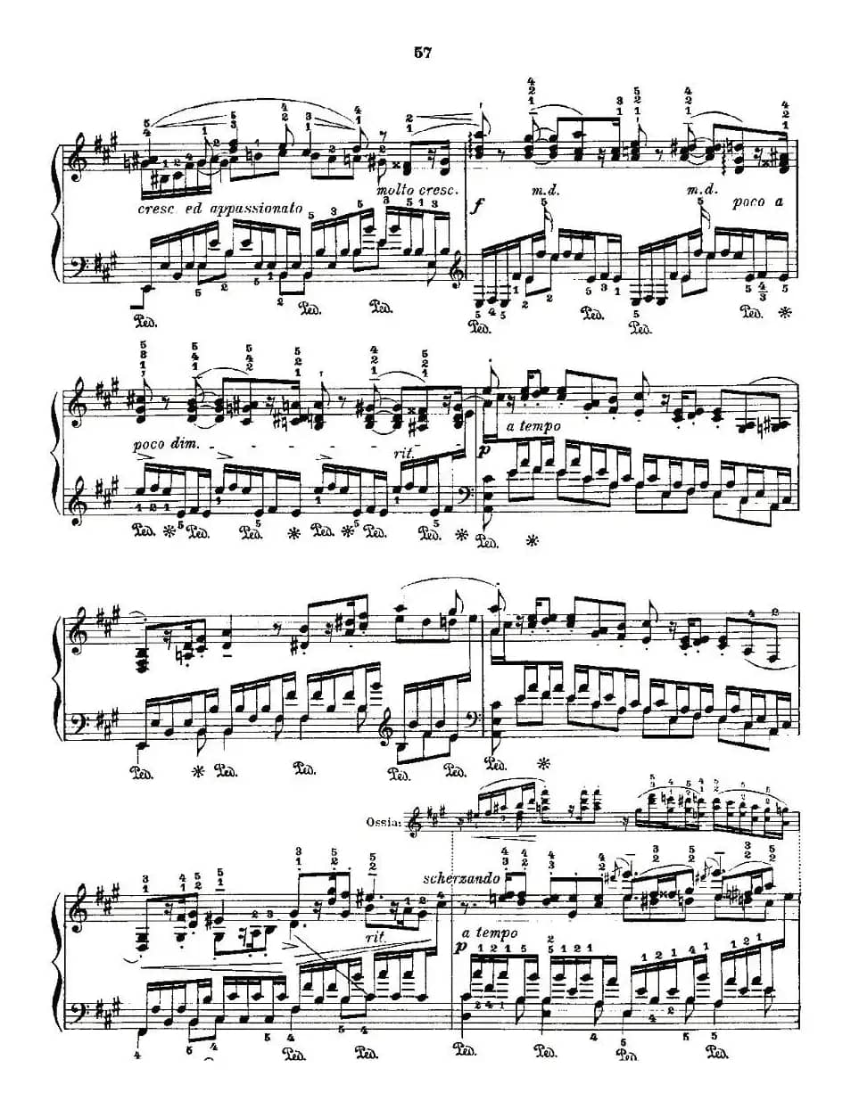 肖邦《练习曲》Fr.Chopin Op.10 No5-4