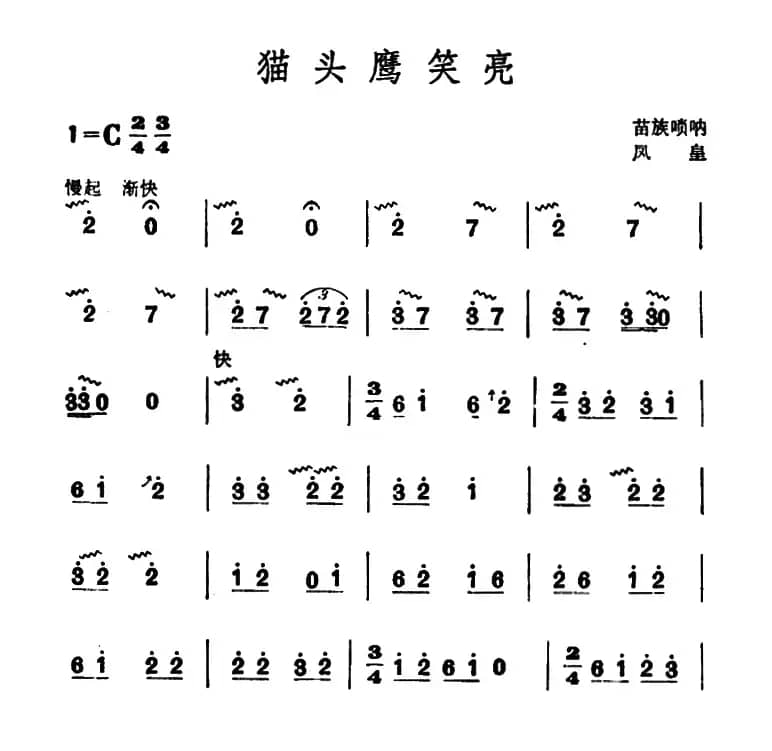 猫头鹰笑亮（苗族唢呐）