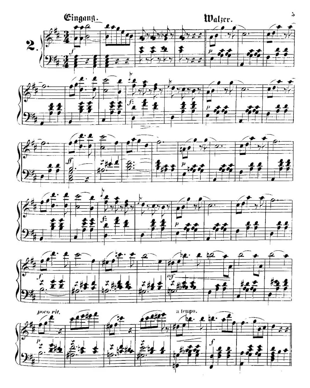 柠檬树花开的地方圆舞曲