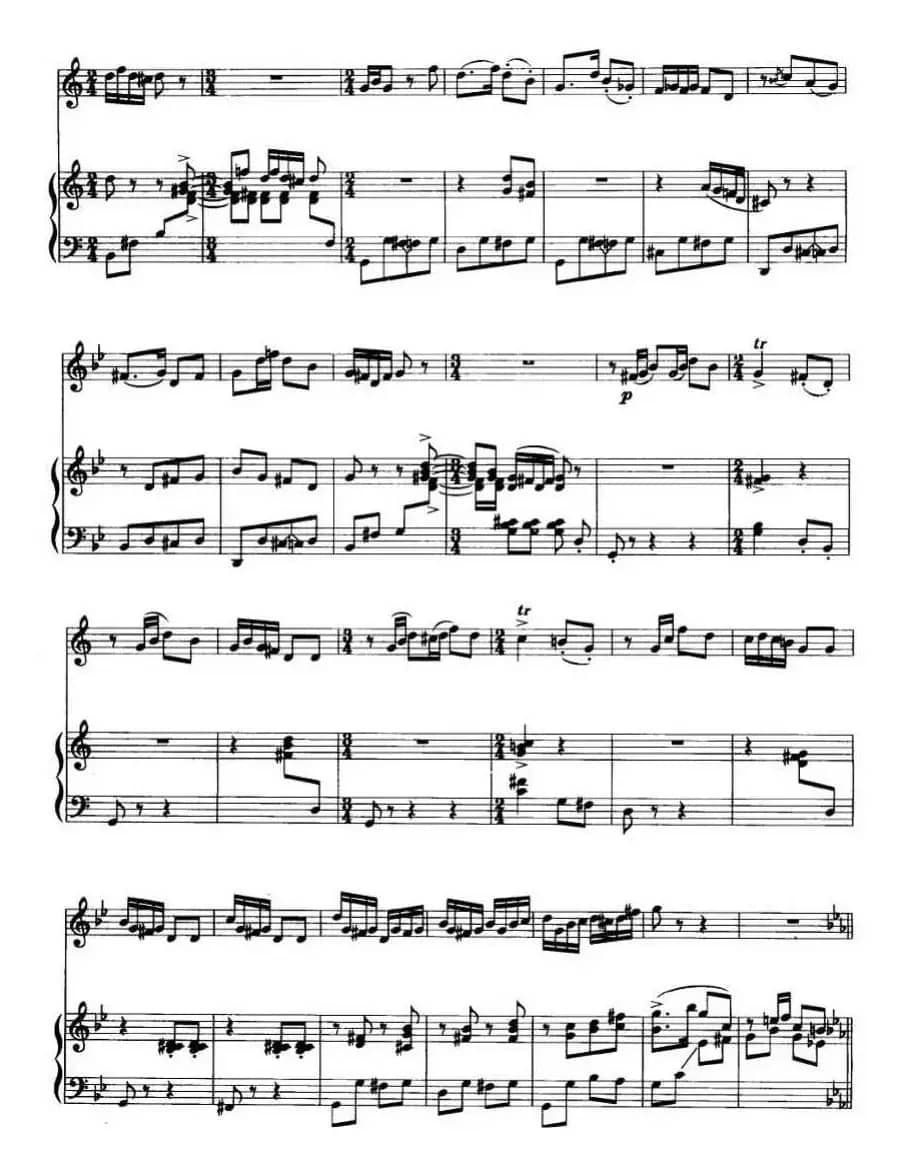 第二二胡狂想曲（二胡+钢琴伴奏）