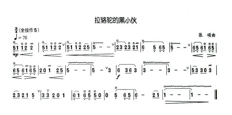 拉骆驼的黑小伙