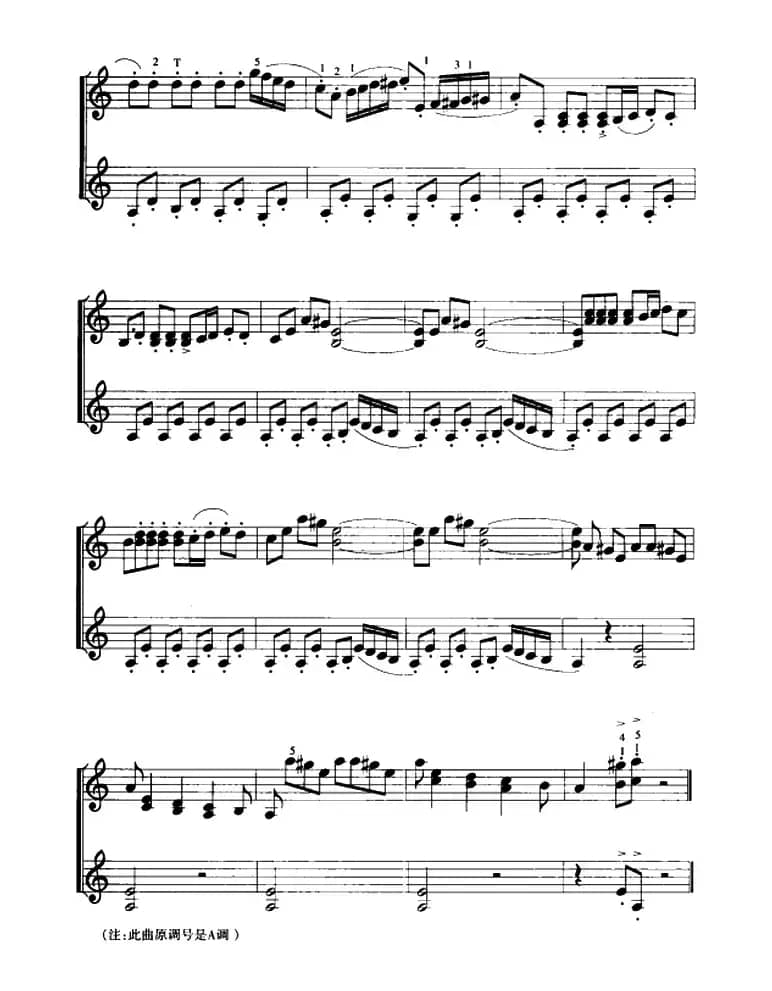 四小天鹅舞曲（口风琴二重奏）