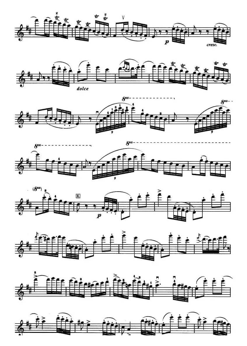 D大调小提琴协奏曲（二胡移植五线谱）