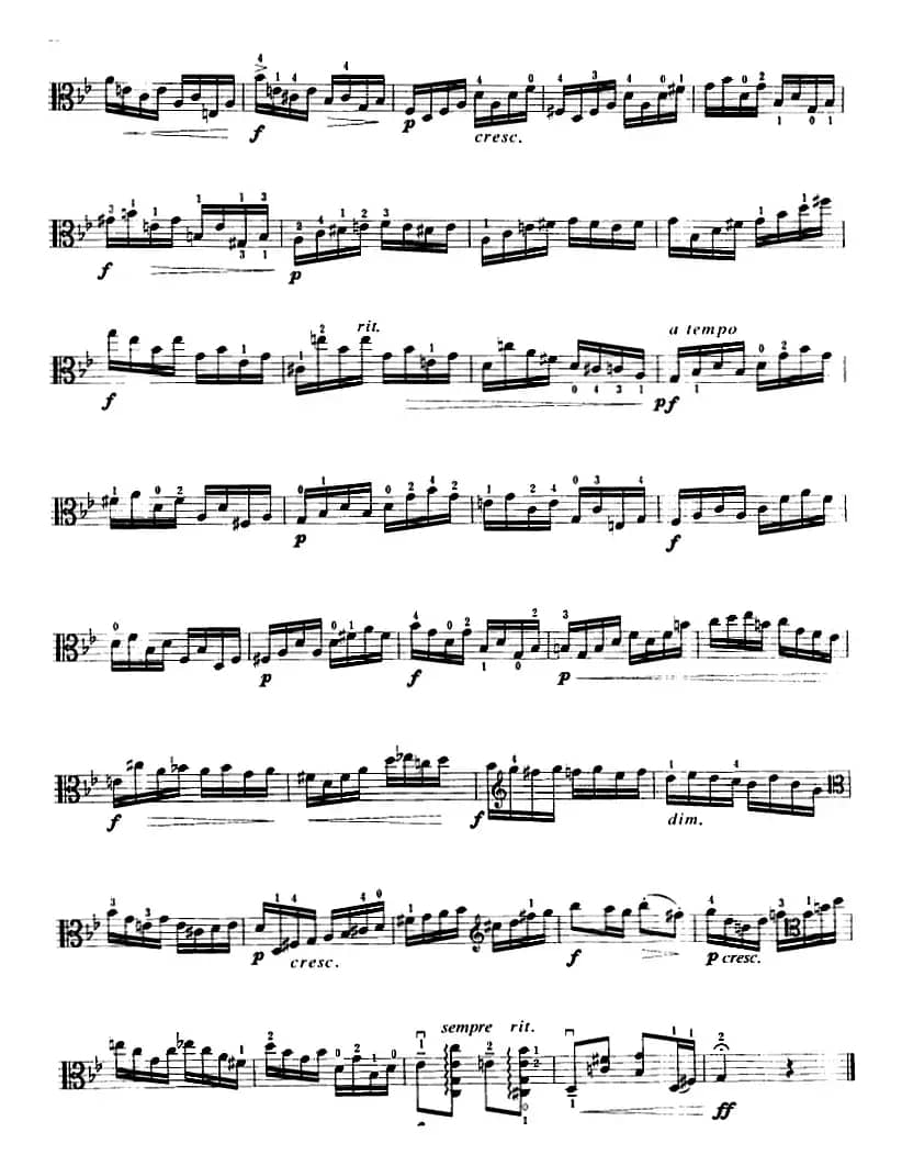 g小调组曲（中提琴）