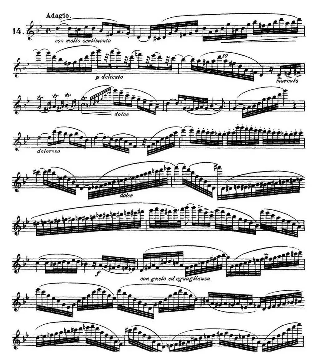 柯勒30首高级长笛练习曲作品75号（NO.14）