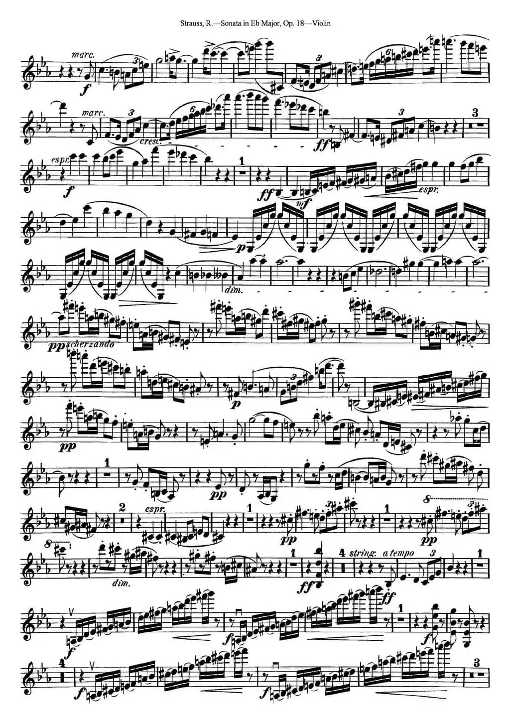 Violin Sonata in Eb Major Op.18