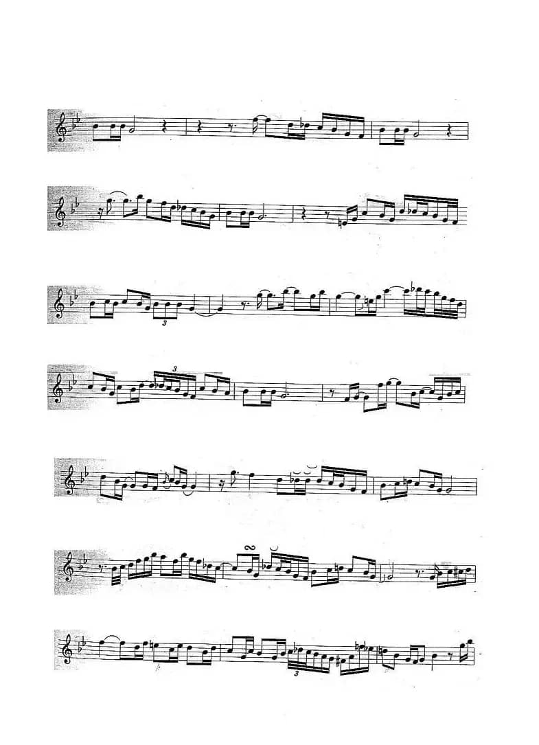 姊妹花（Sister Rose）