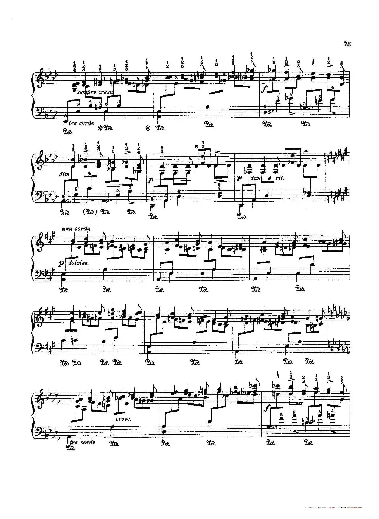 53首以肖邦练习曲为素材而作的练习曲（No.20）