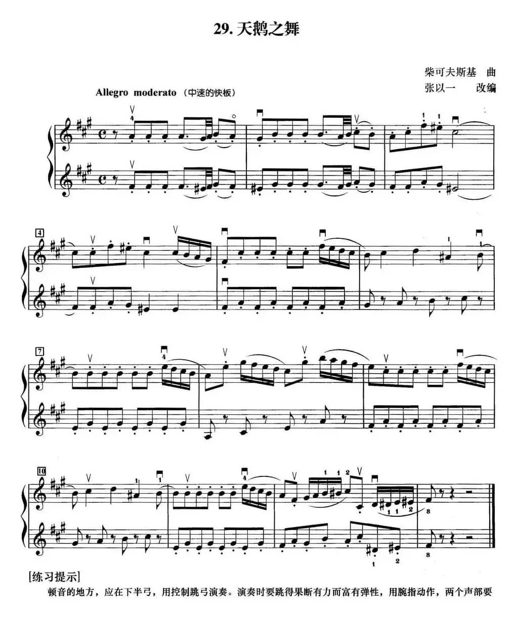 初级小提琴二重奏：天鹅之舞