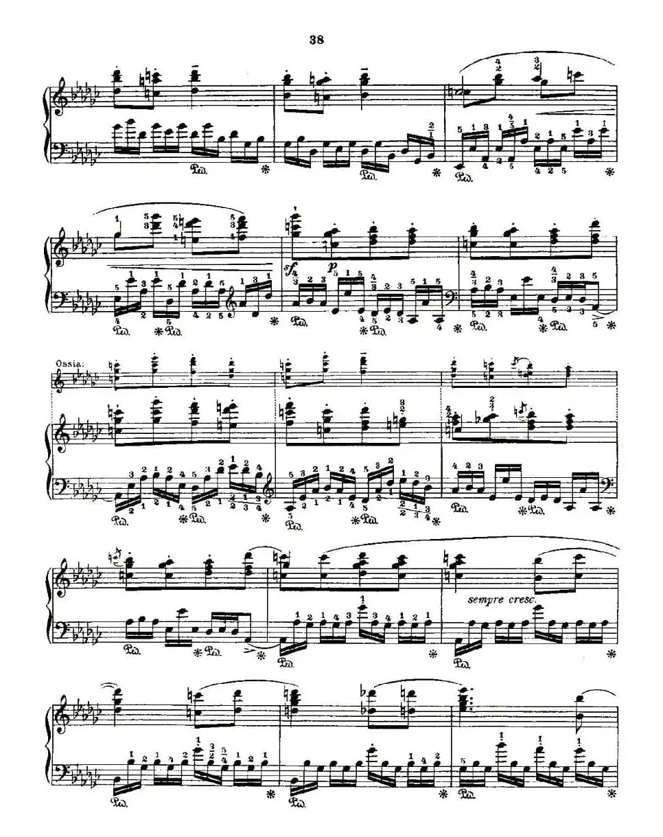 肖邦《练习曲》Fr.Chopin Op.10 No5-1