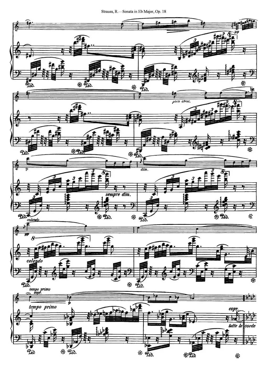 Violin Sonata in Eb Major Op.18（小提琴+钢琴伴奏）