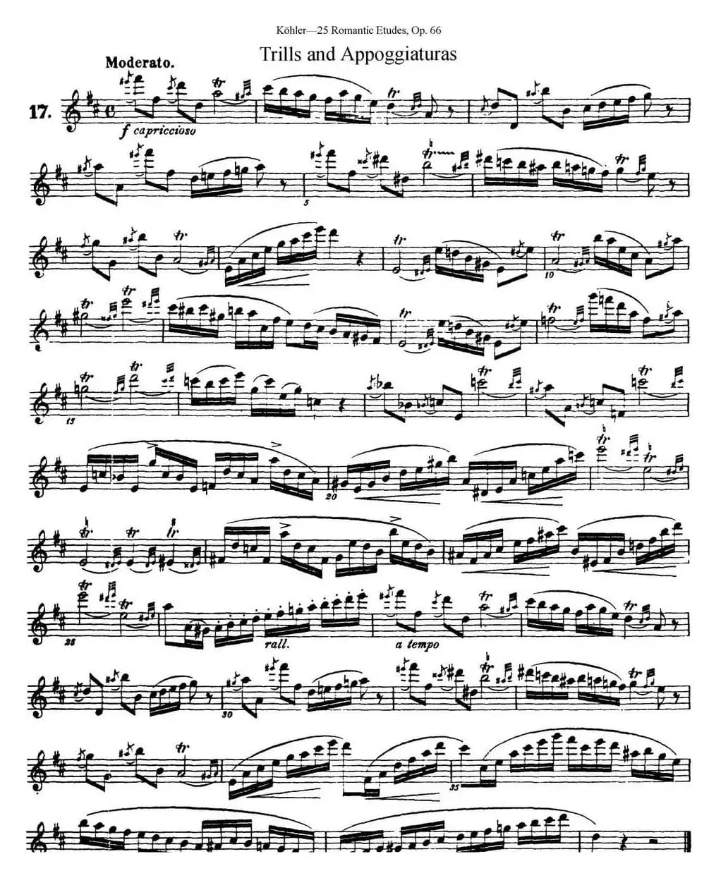 25首浪漫练习曲作品66号（NO.17）