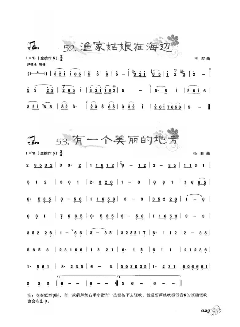 葫芦丝曲精选：渔家姑娘在海边 有一个美丽的地方