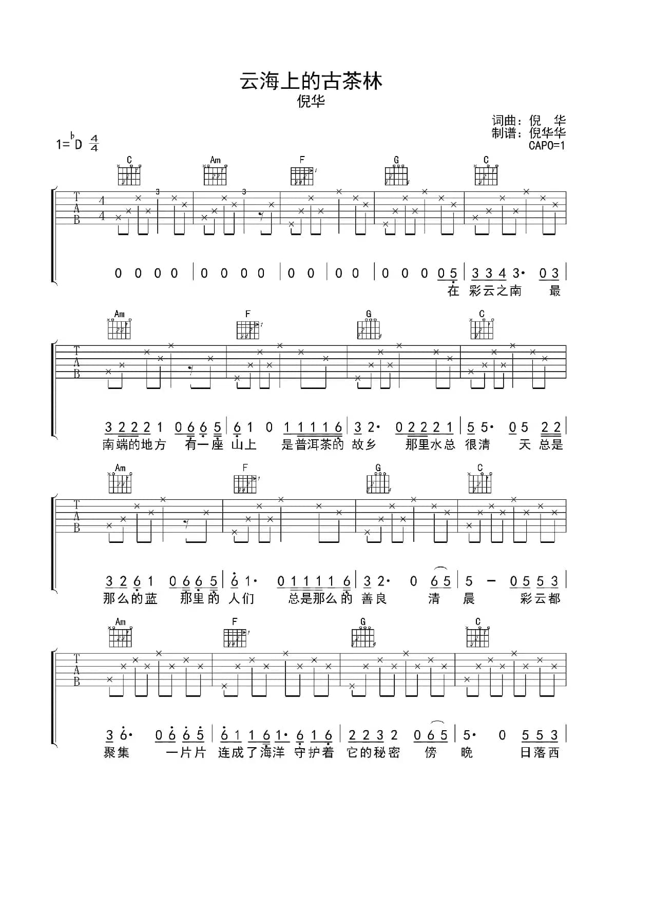 云海上的古茶林