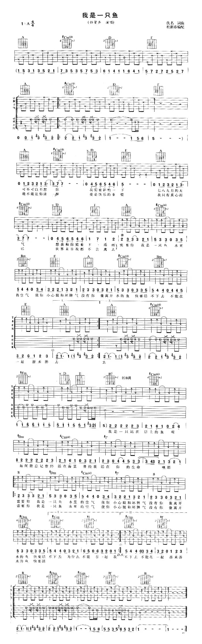 我是一只鱼（杜新春编配版）