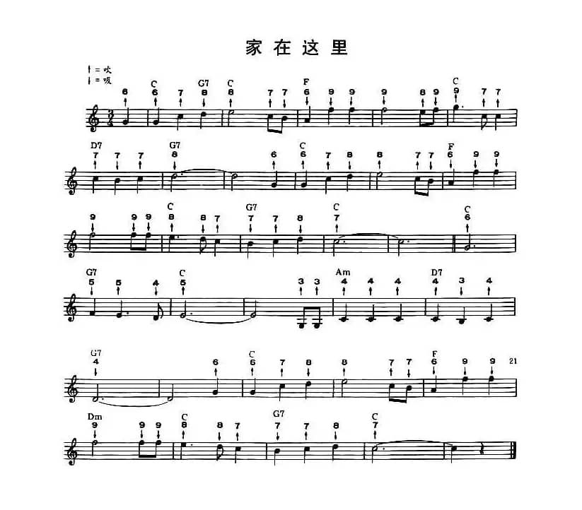 家在这里（布鲁斯）