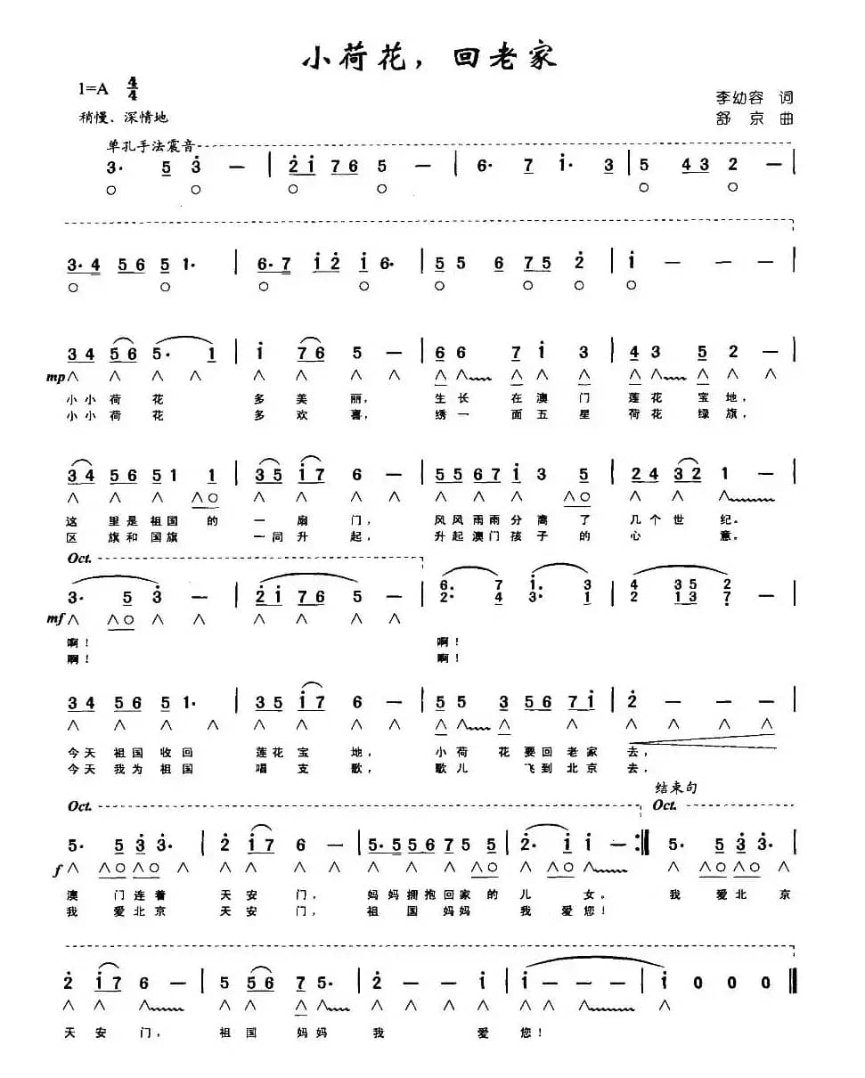 小荷花，回老家（带歌词版）