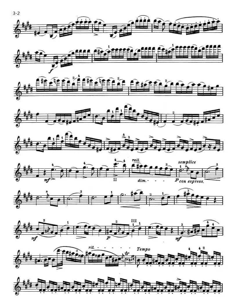 ALLEGRO MAESTOSO（庄严的快板）