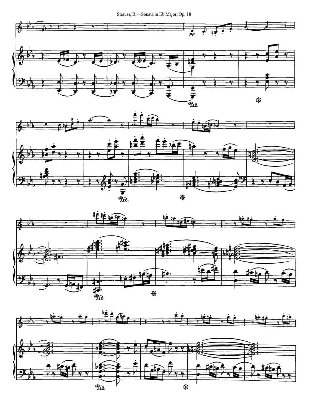 Violin Sonata in Eb Major Op.18（小提琴+钢琴伴奏）