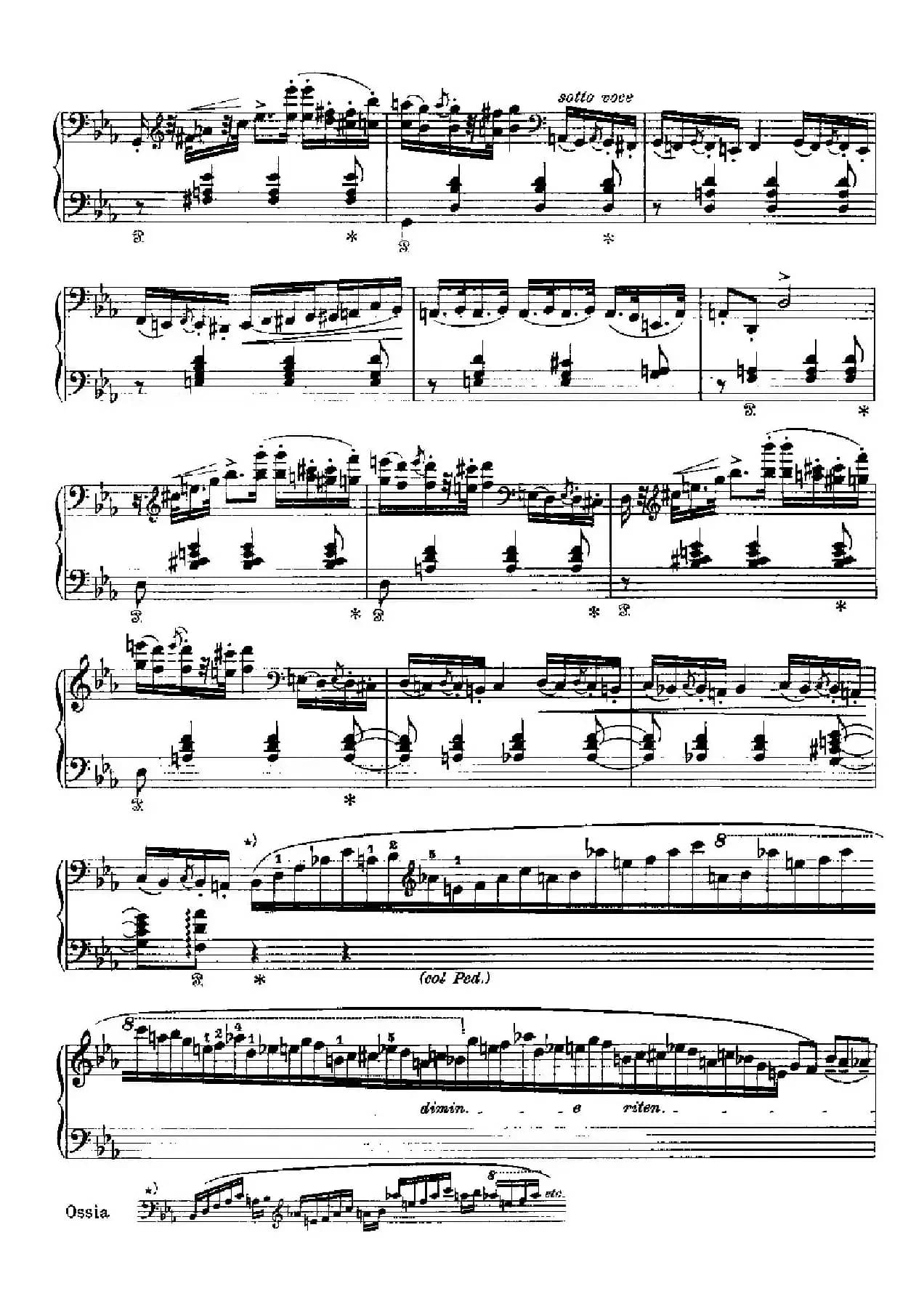 Two Polonaises S.223（2首波洛奈兹舞曲·c小调）