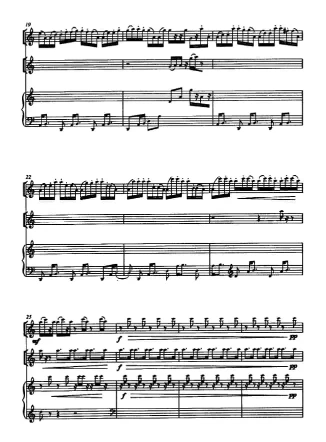 国风（箫、二胡、筝三重奏）