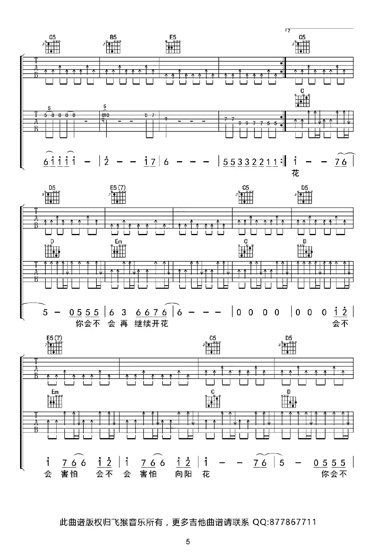 向阳花（G调双吉他版）