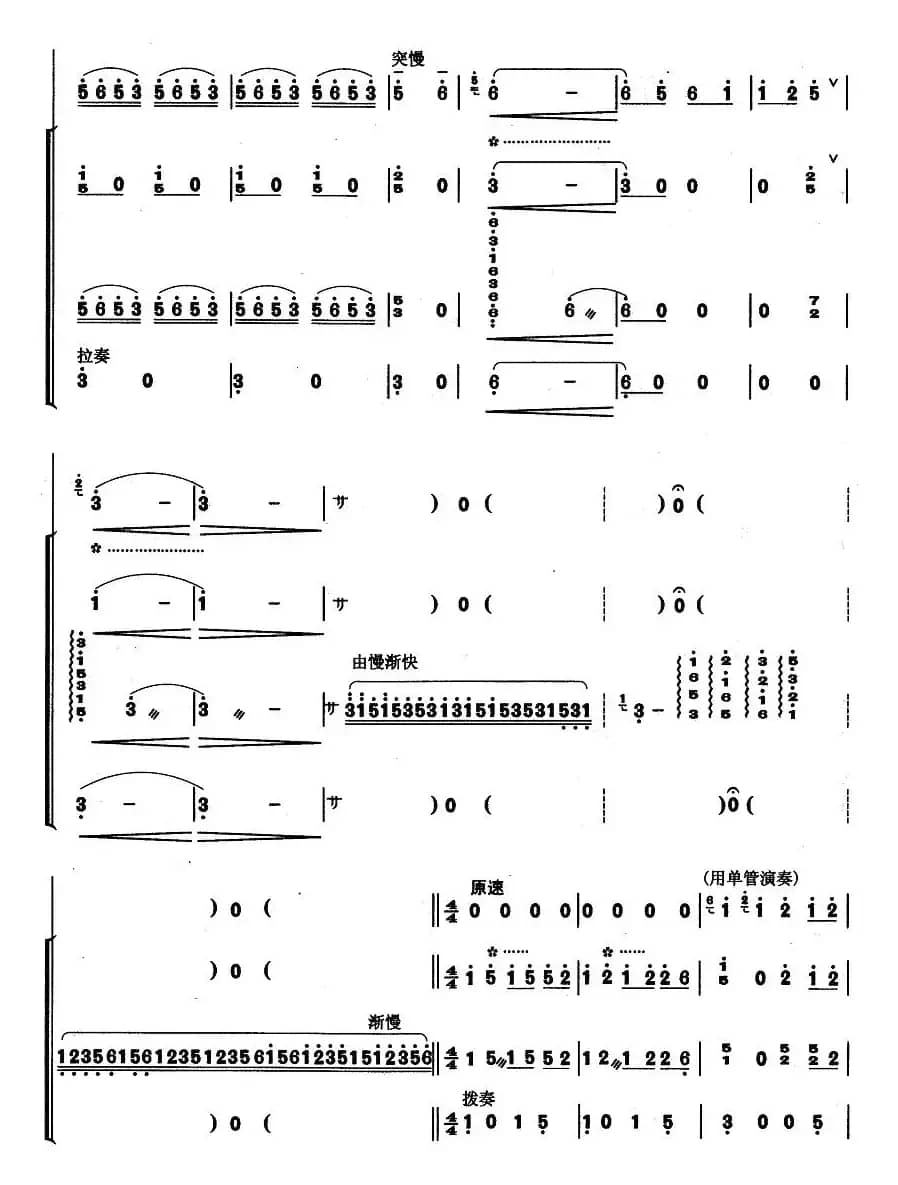 竹林深处（葫芦丝+琵琶+扬琴+低音提琴）