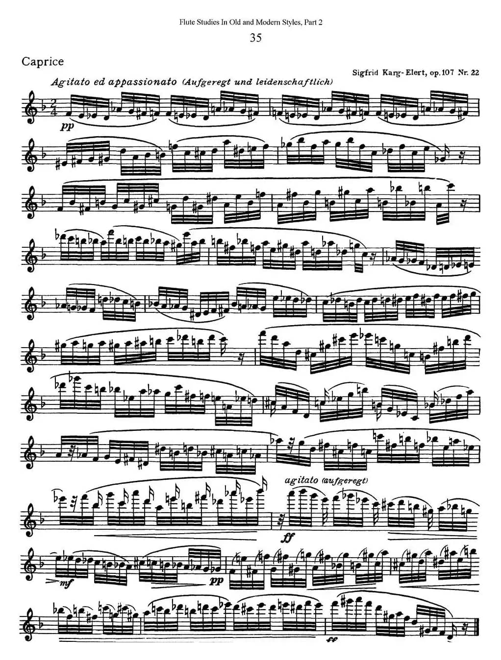 斯勒新老风格长笛练习重奏曲（第二部分）（NO.35）