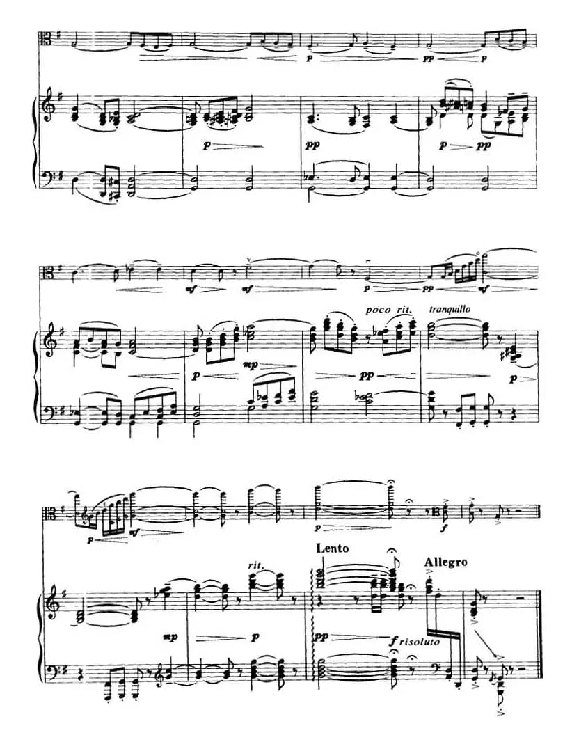 变音体系幻想曲（中提琴）